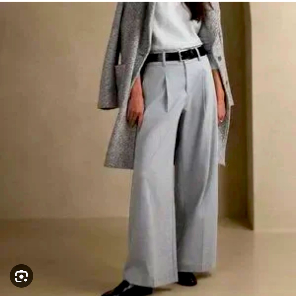 Banana Republic Gray Lou-Lou Wide leg Pants Size 12